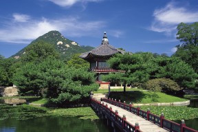 世界杯后足球书籍与纪录片发行速览，播放2021足球世界杯
